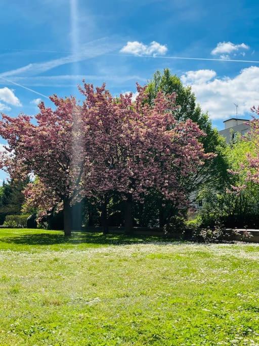 Studio Situe A 5 Min Du Chateau De Versailles Et Stationnement Gratuit Exterior foto